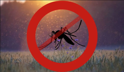 Larvicidni tretman komaraca